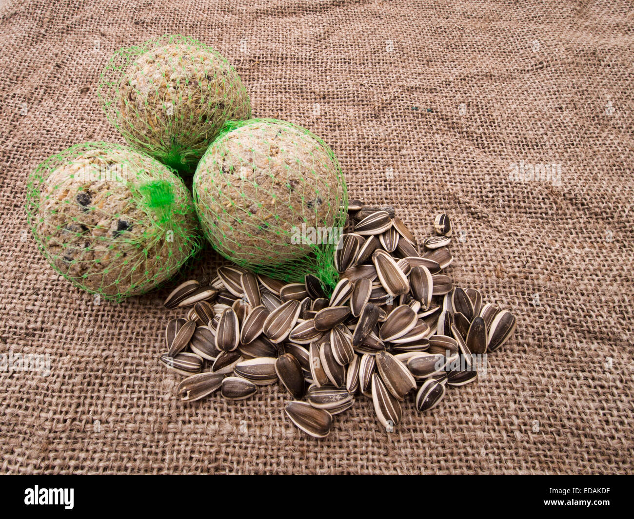 Bird food fatballs and sunflower seeds Stock Photo