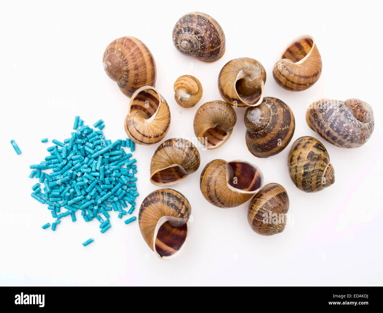 Slug pellets hires stock photography and images Alamy