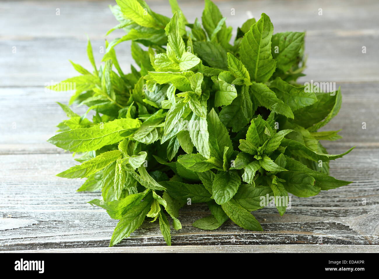 Peppermint on the boards, herbs Stock Photo