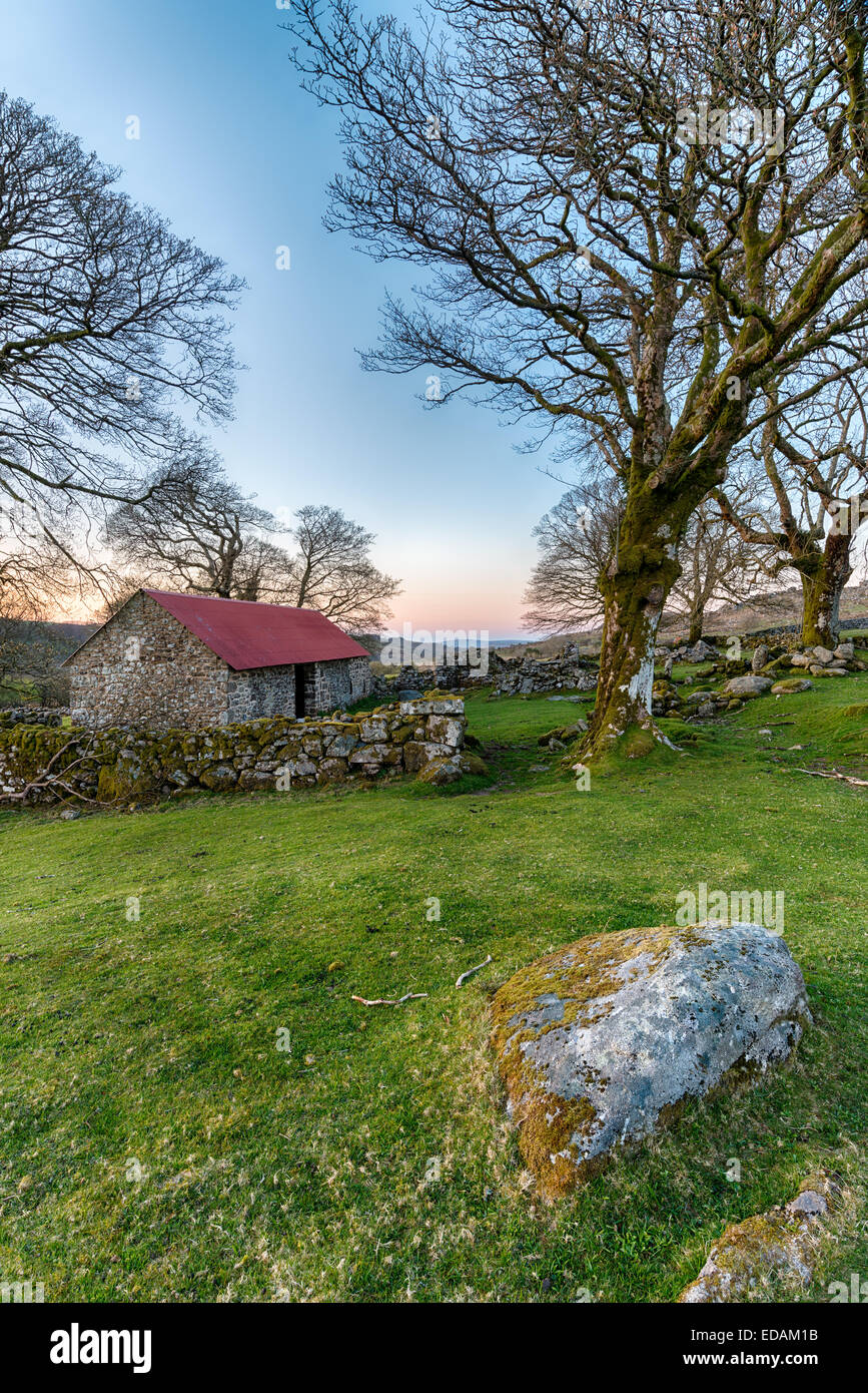 An old barn with a red roof at Emsworthy on Dartmoor National Park in Devon Stock Photo