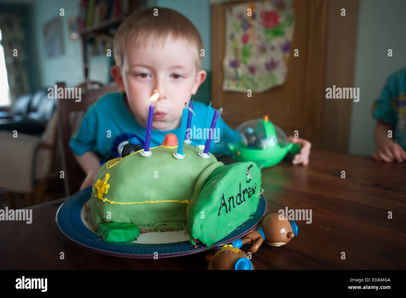 Boy blowing out birthday candles on cake Stock Photo Alamy
