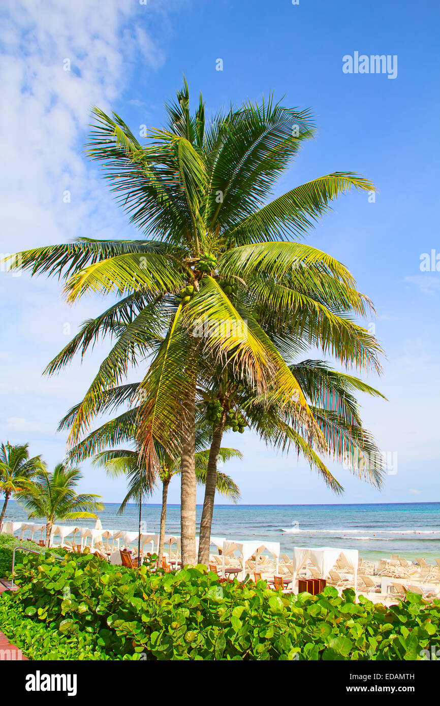 Sandy beach in Cancun, Mexico Stock Photo