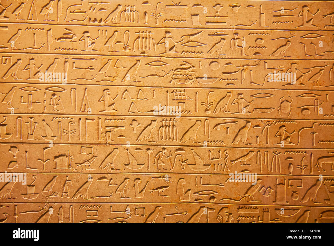 Egyptian hieroglyphs on the wall Stock Photo - Alamy