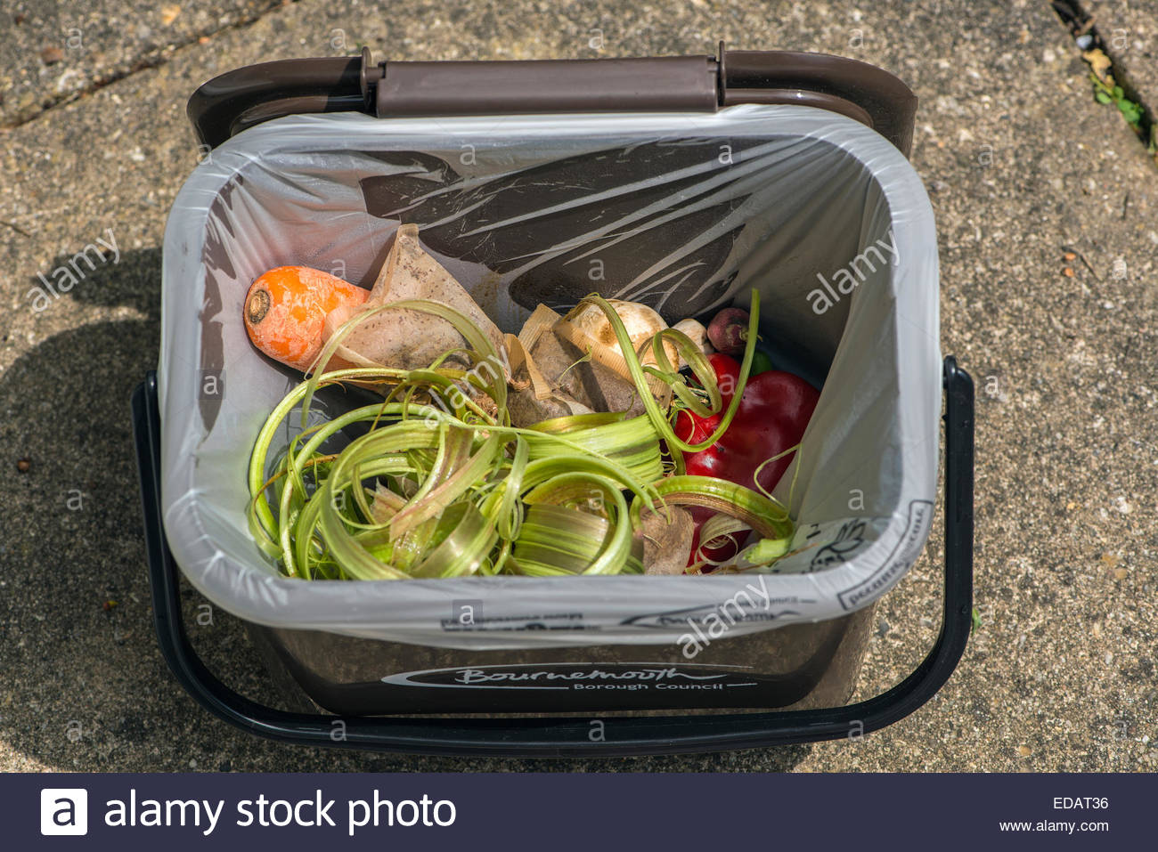 A food recycling bin filled with leftover food; rhubarb peelings Stock
