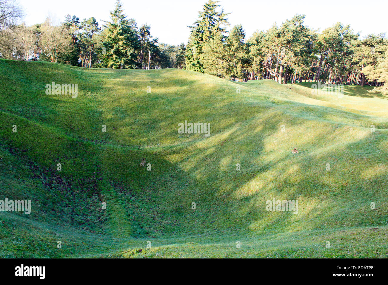 The trenches and craters on battlefield of Vimy ridge Stock Photo