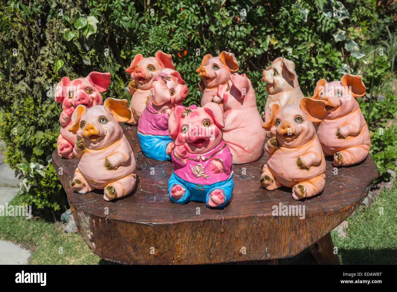 Display of a collection of amusing cute, colourful models of small pink pigs as ornamental decoration in a restaurant in Arequipa, Peru Stock Photo