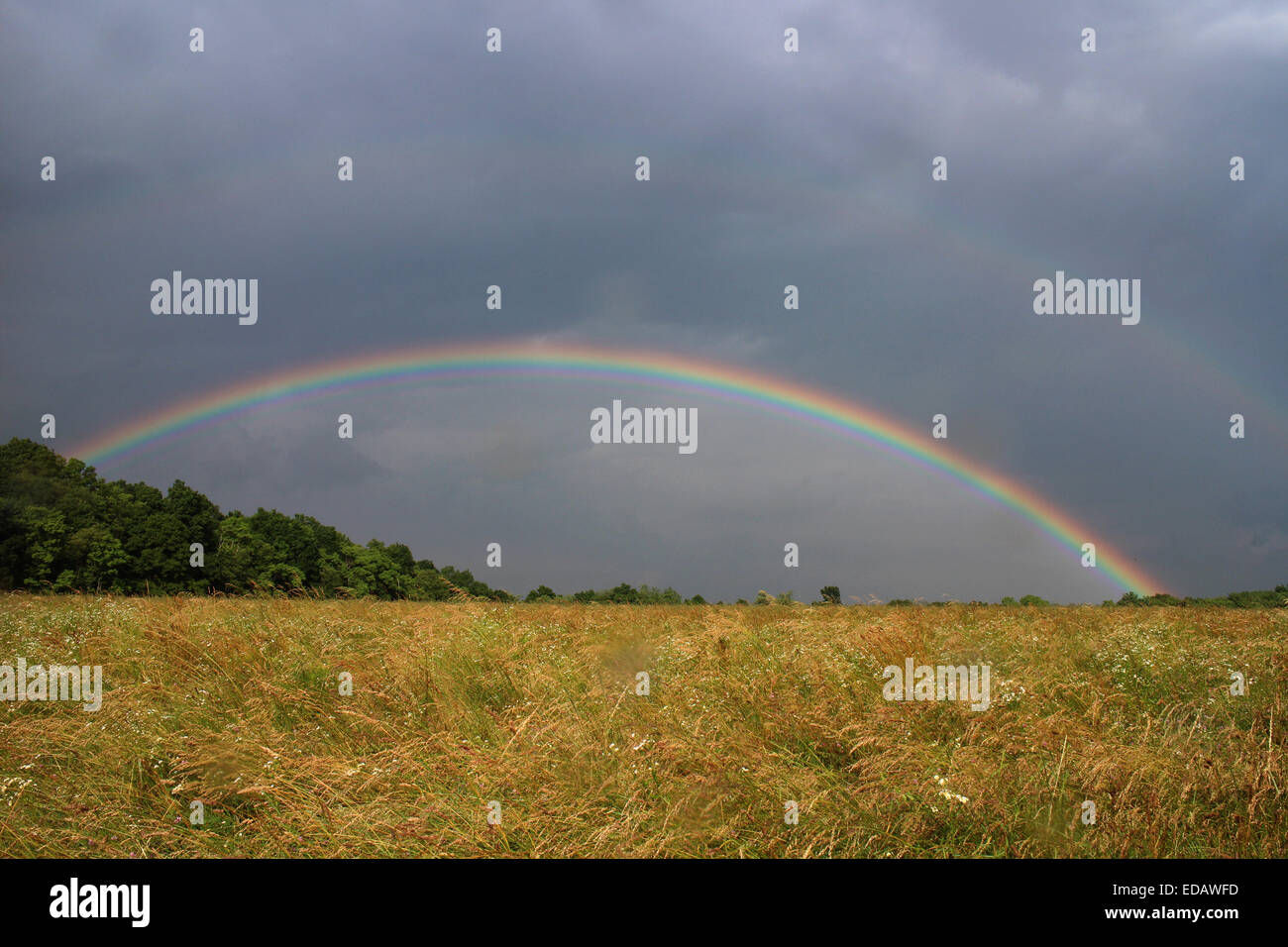 Rainbow over hay field Pennsylvania Stock Photo