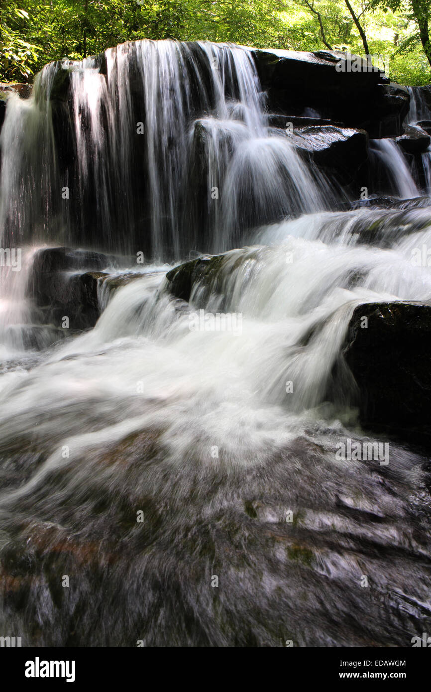 Pennsylvania State Park Stock Photos Pennsylvania State Park