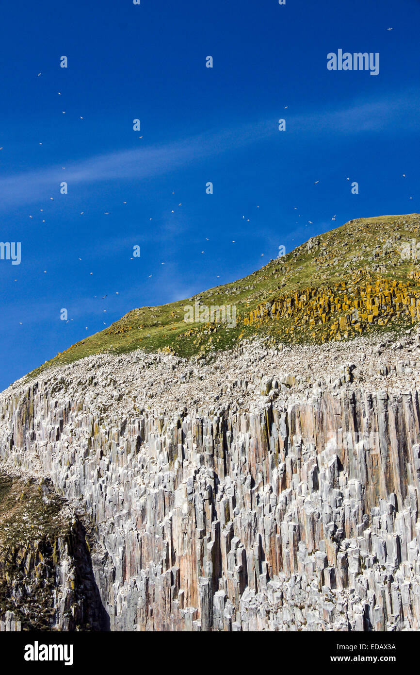 Ailsa craig island hires stock photography and images Alamy