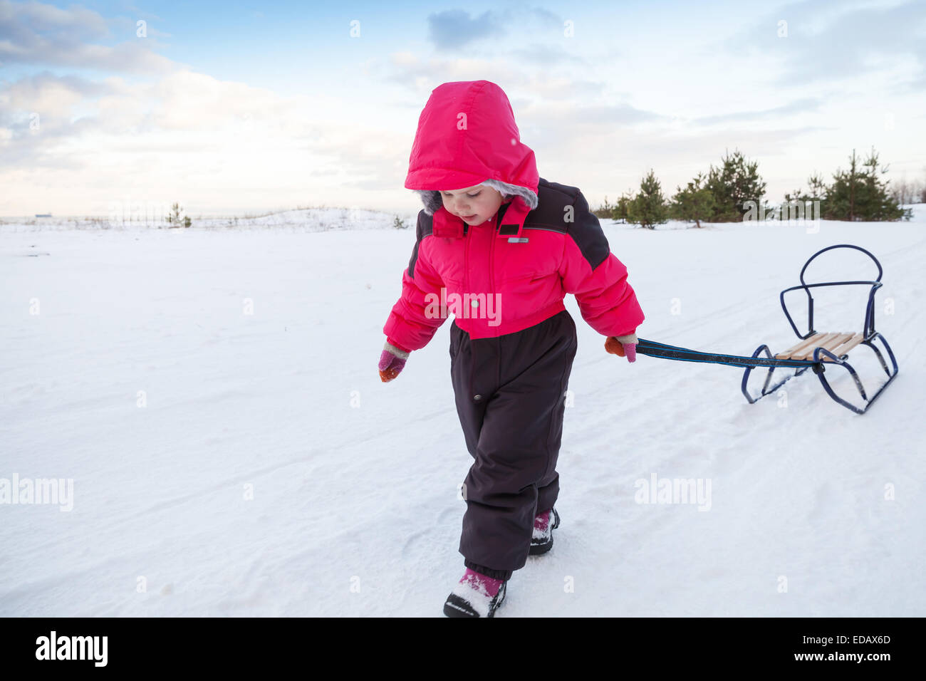 Little baby girl in pink pulling a sled on snowy winter road Stock Photo