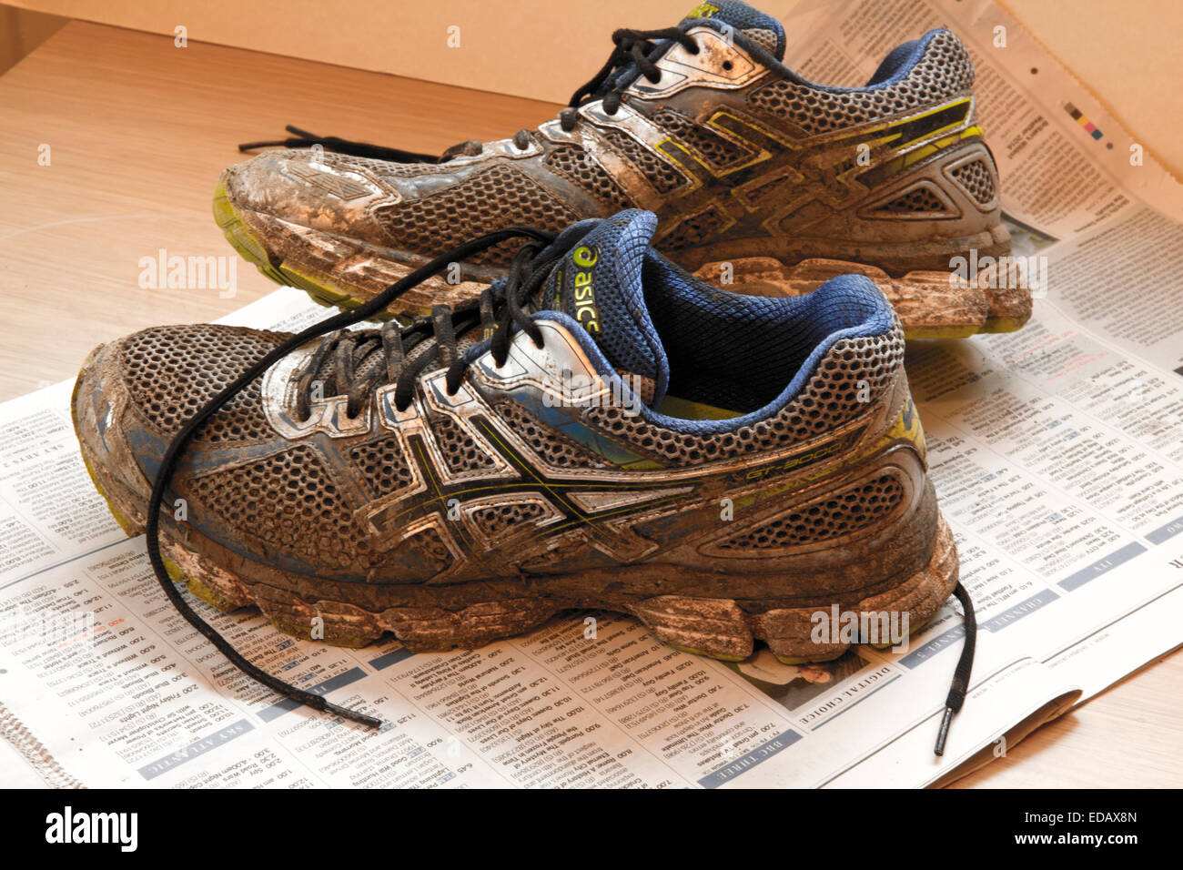 Muddy trainers after a run, on newspaper to protect the floor Stock Photo