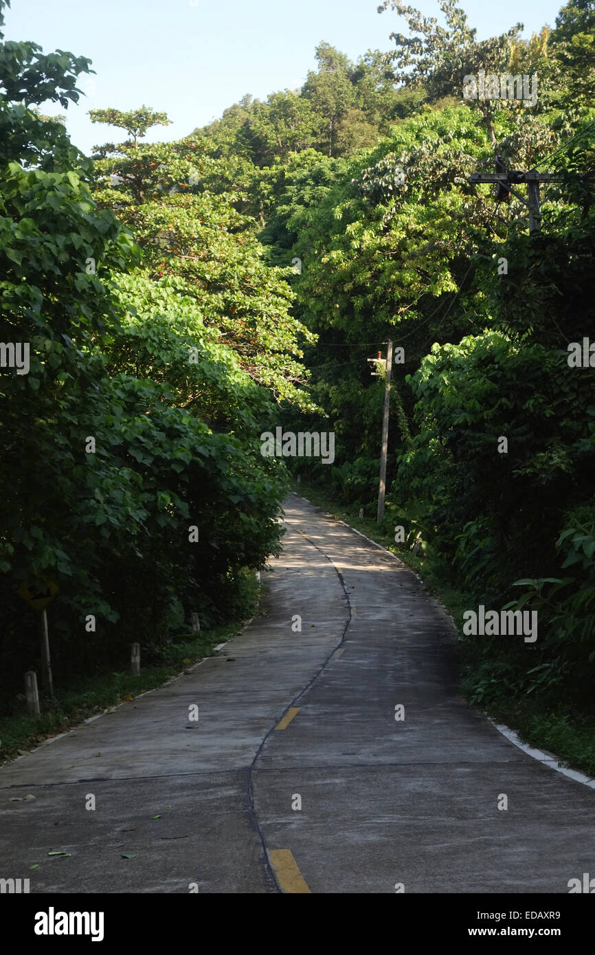 Windy Tarmac road through the jungle, rainforest Koh Lanta, Mu Ko Lanta National Park, Thailand, Southeast Asia. Stock Photo