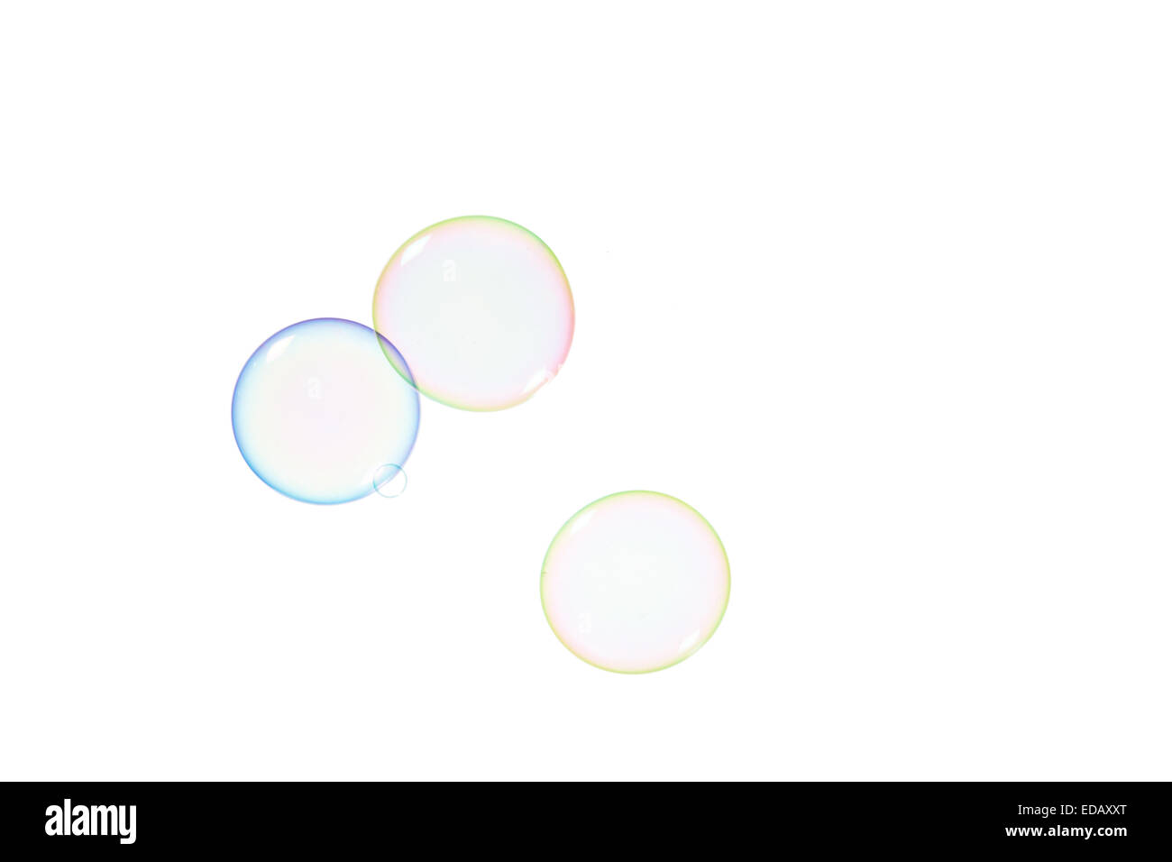 Group of soap bubbles on a white background Stock Photo