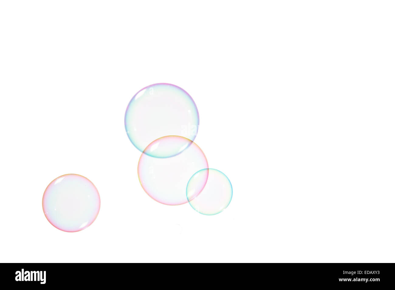 Group of soap bubbles on a white background Stock Photo