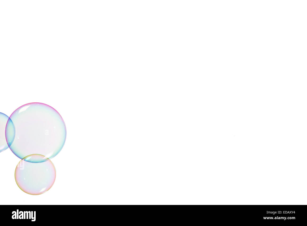 Group of soap bubbles on a white background Stock Photo - Alamy