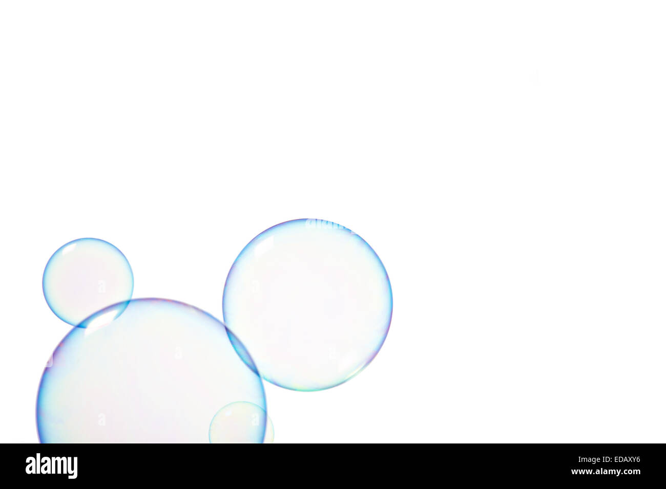 Group of soap bubbles on a white background Stock Photo - Alamy