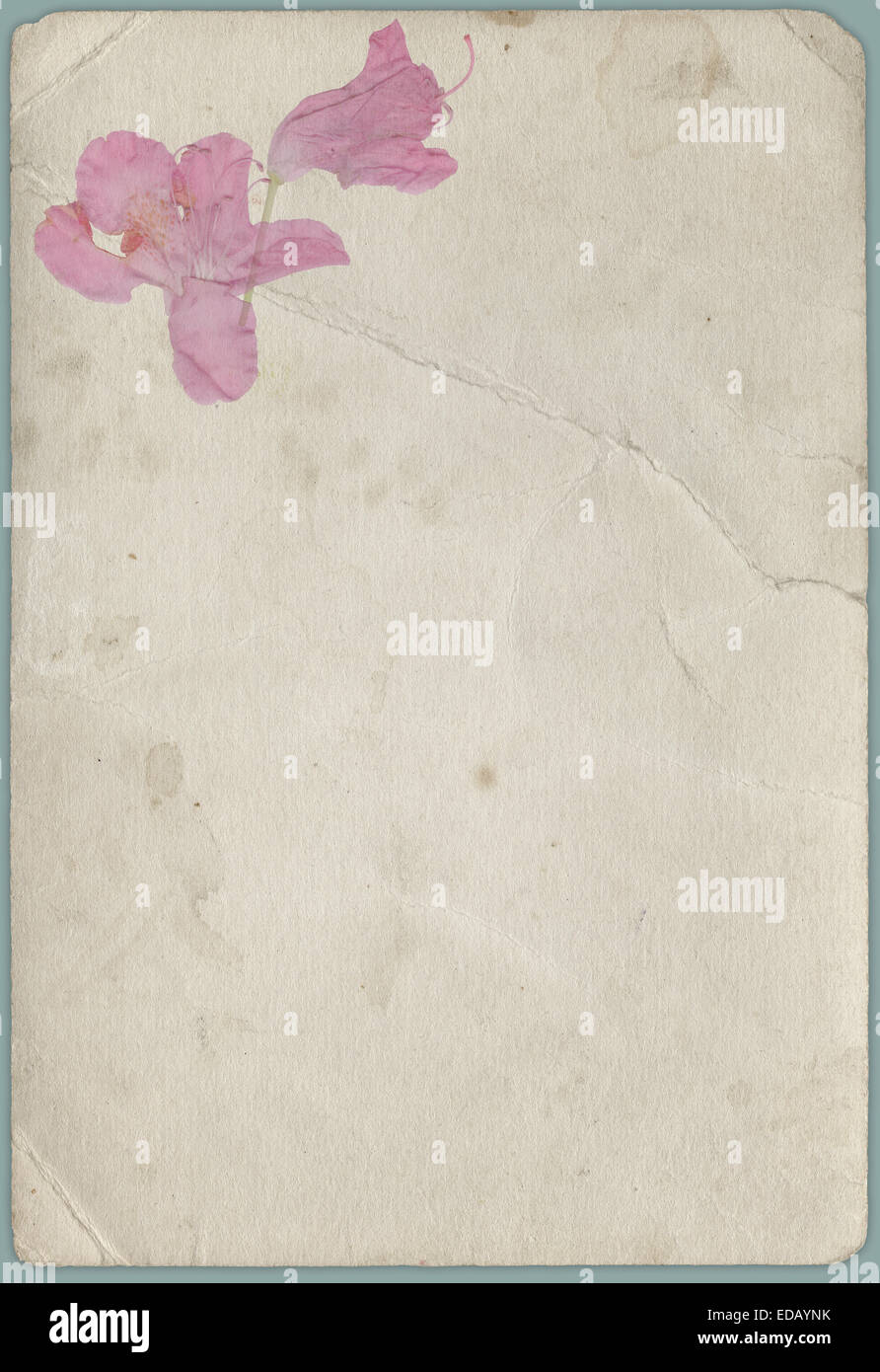 grunge background with a flowers Stock Photo - Alamy