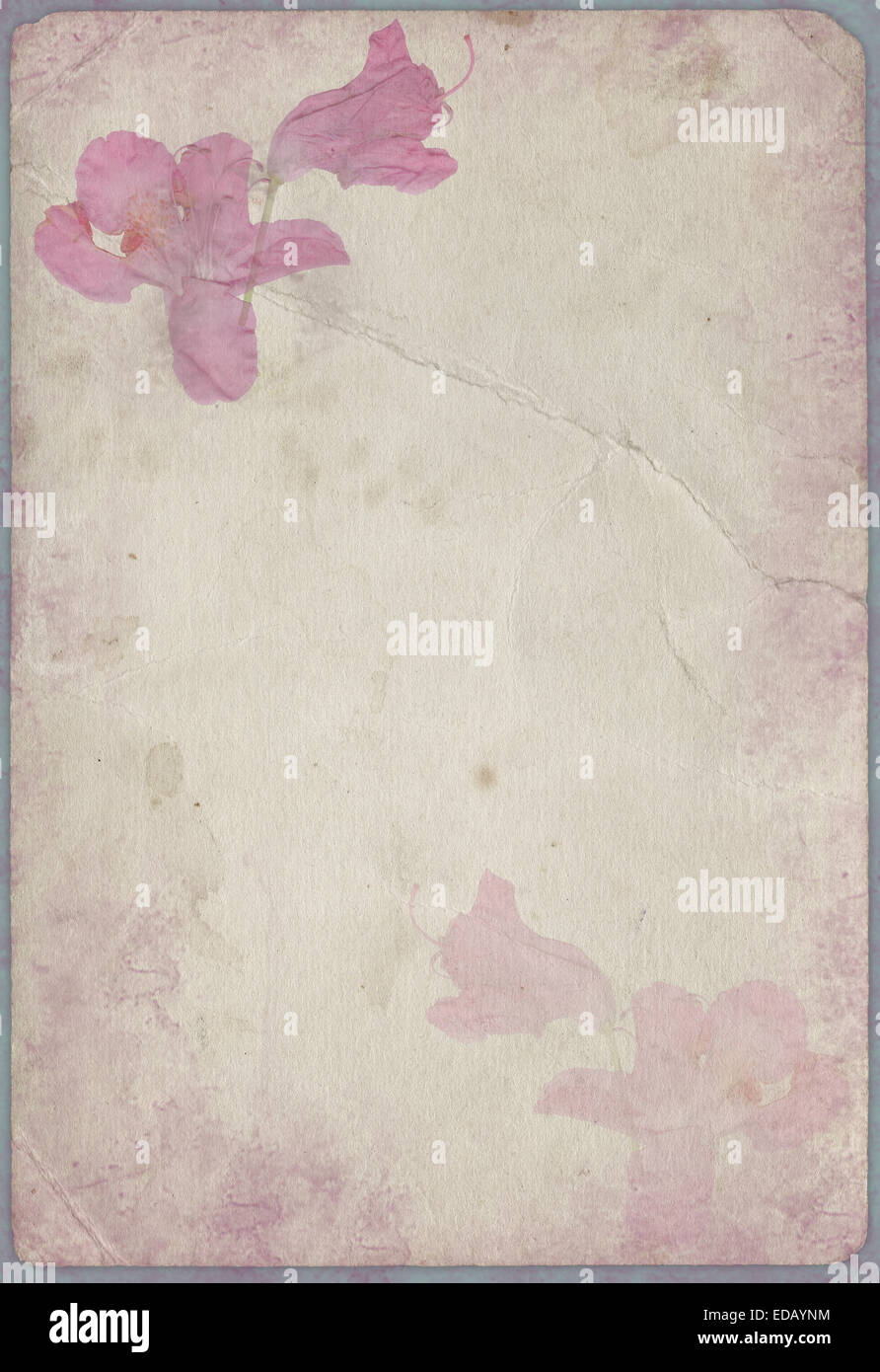 grunge background with a flowers Stock Photo - Alamy