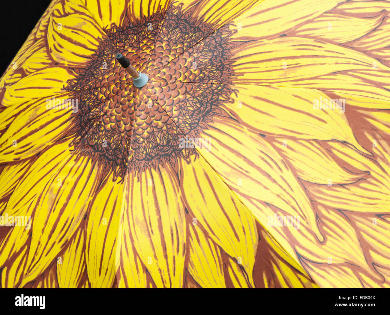 Sunflower umbrella hi-res stock photography and images - Alamy
