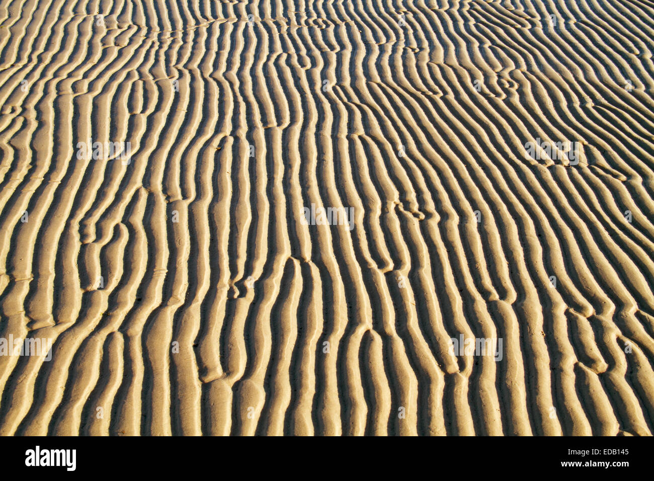 Ripples in the sand of a beach Stock Photo - Alamy