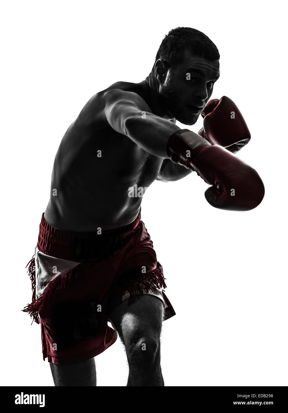 one  man exercising thai boxing in silhouette studio on white background Stock Photo