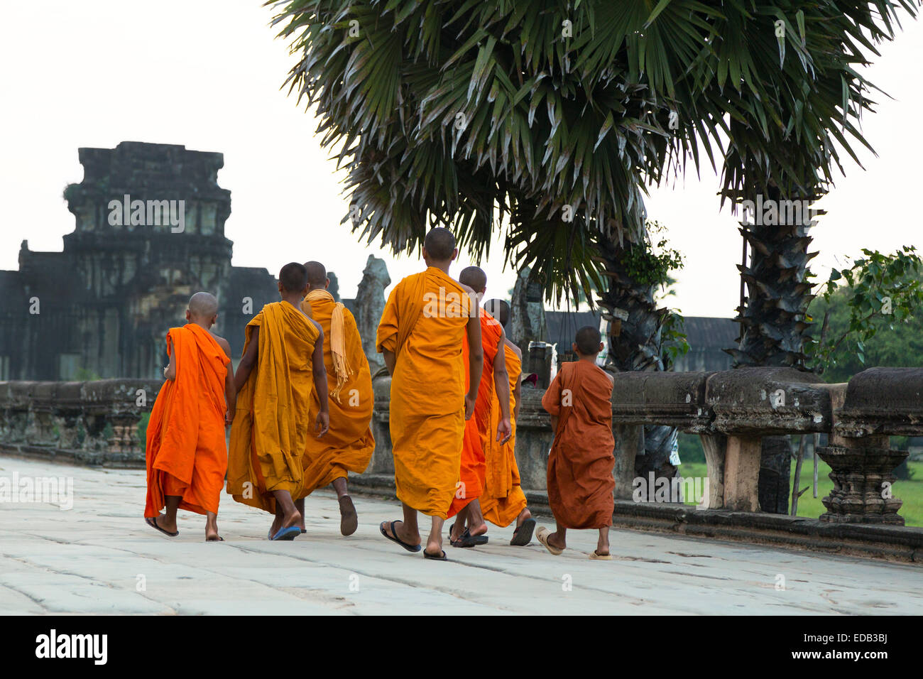 Young monks at the Angkor Wat Temple, Siem Reap, Cambodia Stock Photo