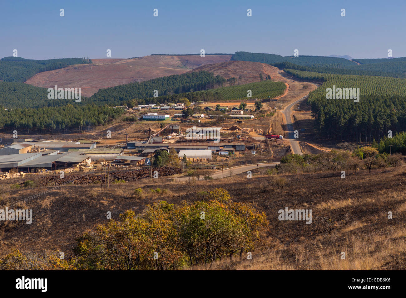 HHOHHO, SWAZILAND, AFRICA - Sawmill and tree plantation near town of Piggs Peak. Stock Photo