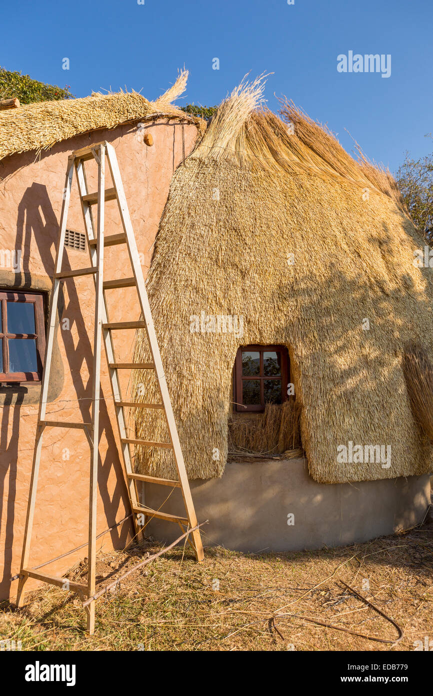 SWAZILAND, AFRICA - Construction of a traditional beehive hut made of thatched dry grass, at the Phophonyane Nature Reserve Stock Photo