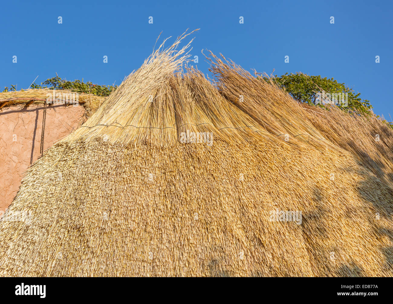 SWAZILAND, AFRICA - Roof construction of a traditional beehive hut made of thatched dry grass, at the Phophonyane Nature Reserve Stock Photo
