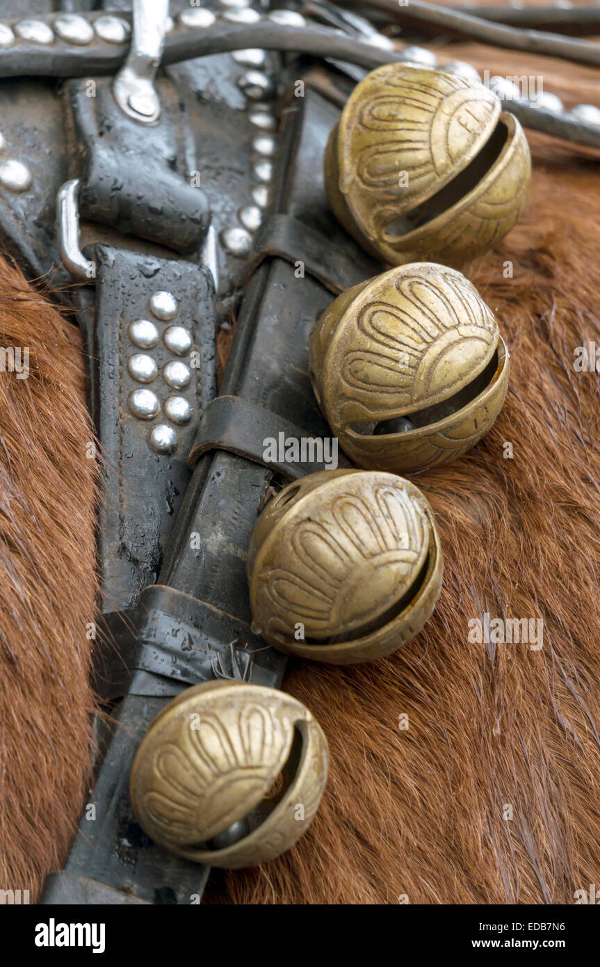 Brass harness or sleigh bells, a worn black leather harness strap with silver rivets on a draft horse. Stock Photo