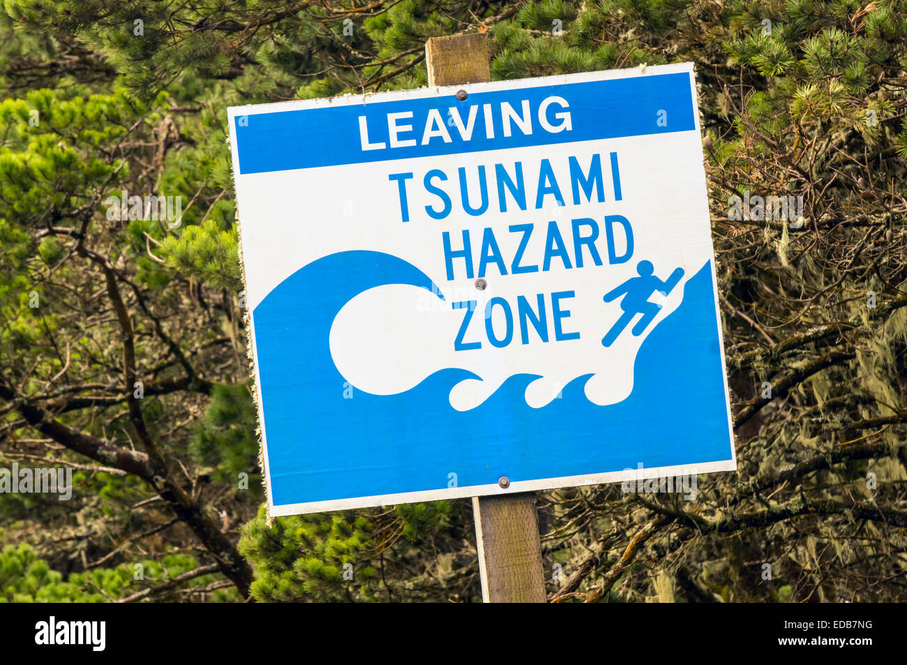 Oregon coast tsunami signs