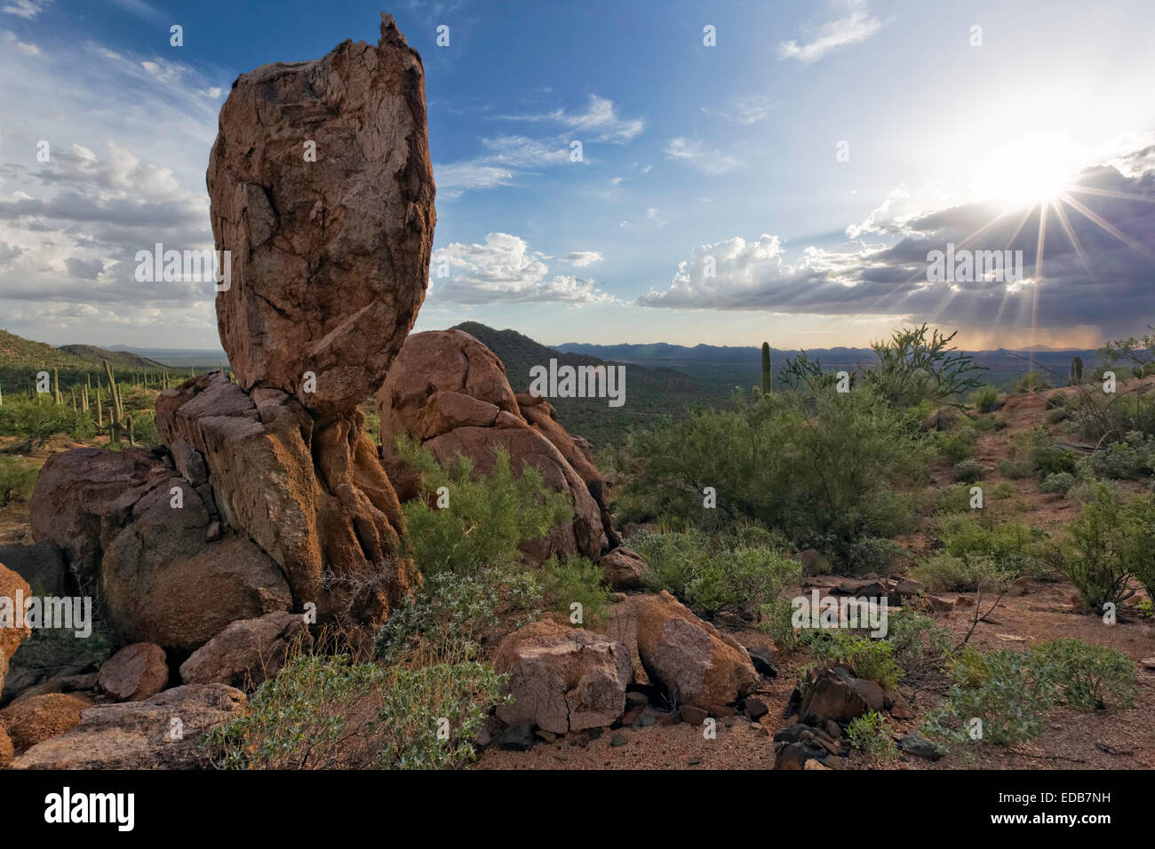 Monsoon clouds over Saguaro National Park West, Tucson, Arizona Stock Photo