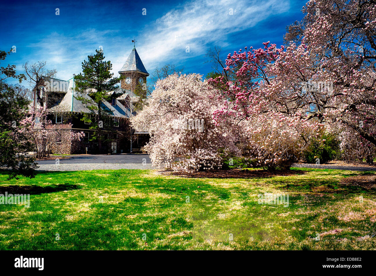 Spring Bloom in a Garden with a Rustic Building , Coach Barn, Duke Gardens, Hillsborough, Somerset County, New Jersey, USA Stock Photo
