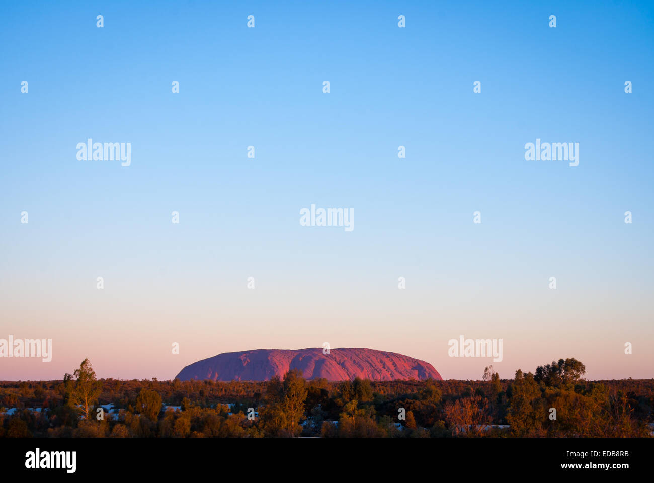 Sunset on Uluru viewed from Ayers Rock Resort at Yulara Stock Photo