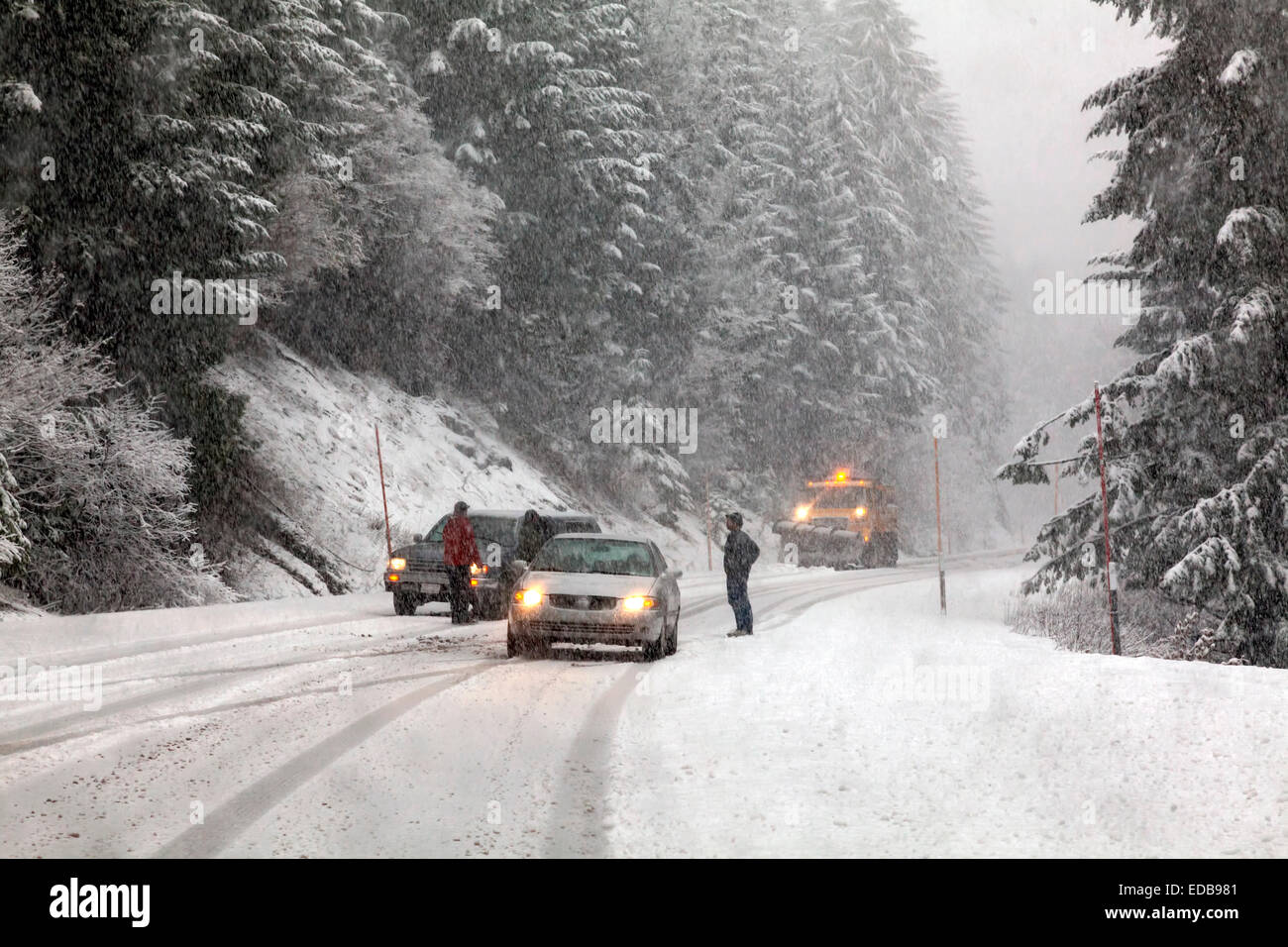 Two vehicles without chains spun out on snowy road during snowstorm while snow plow approaches on Tombstone Pass, Oregon, USA. Stock Photo