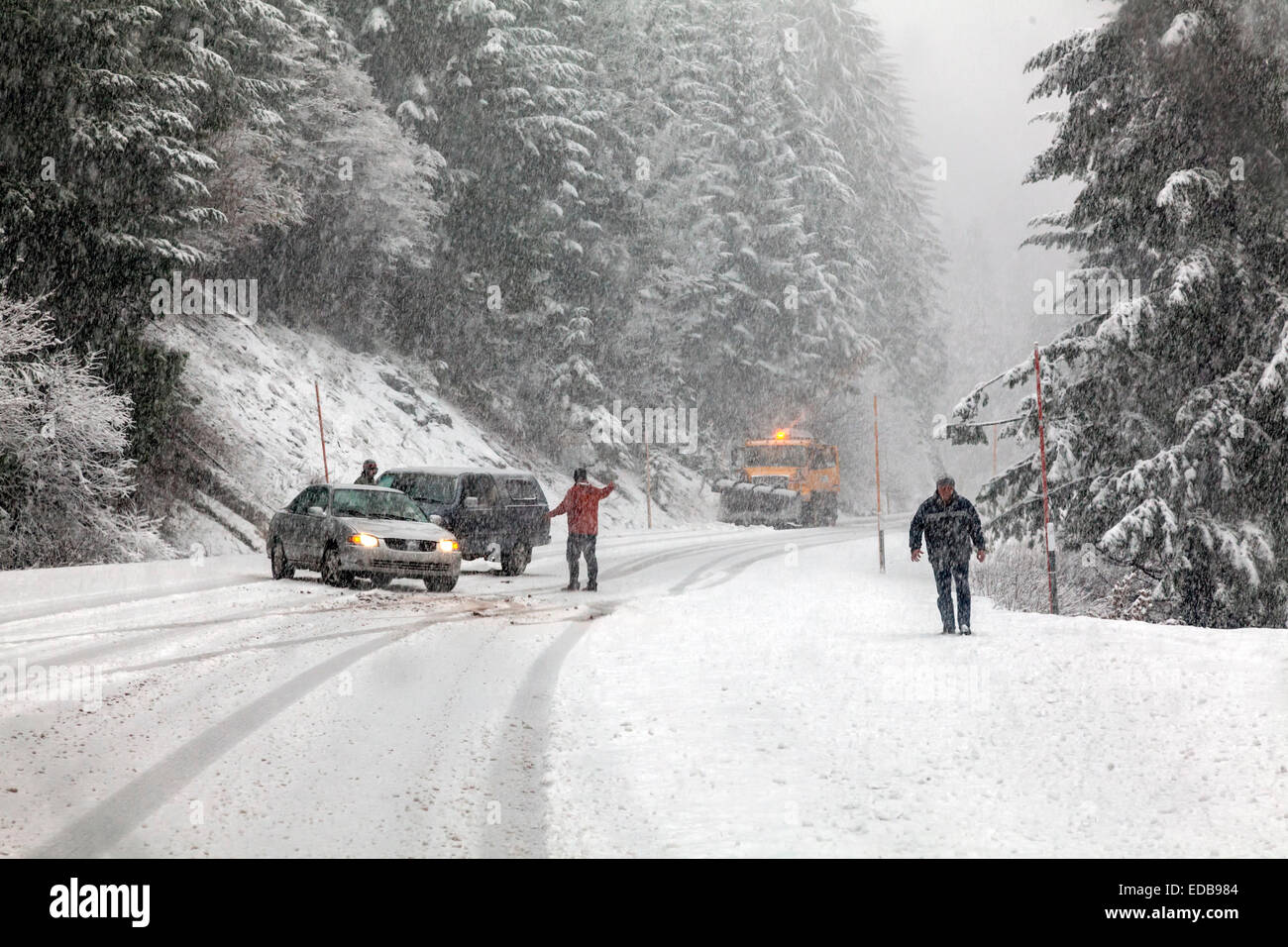 Two vehicles without chains spun out on snowy road during snowstorm while snow plow approaches on Tombstone Pass, Oregon, USA. Stock Photo