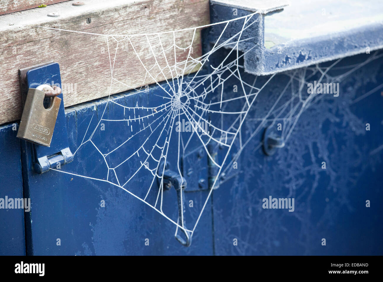 Rusty Web Frosty spider's web Stock Photo - Alamy