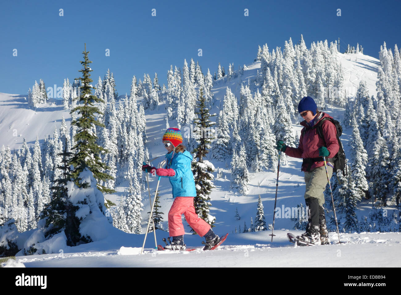 Clallam county hi-res stock photography and images - Alamy Clallam county hi-res stock photography and images - Alamy