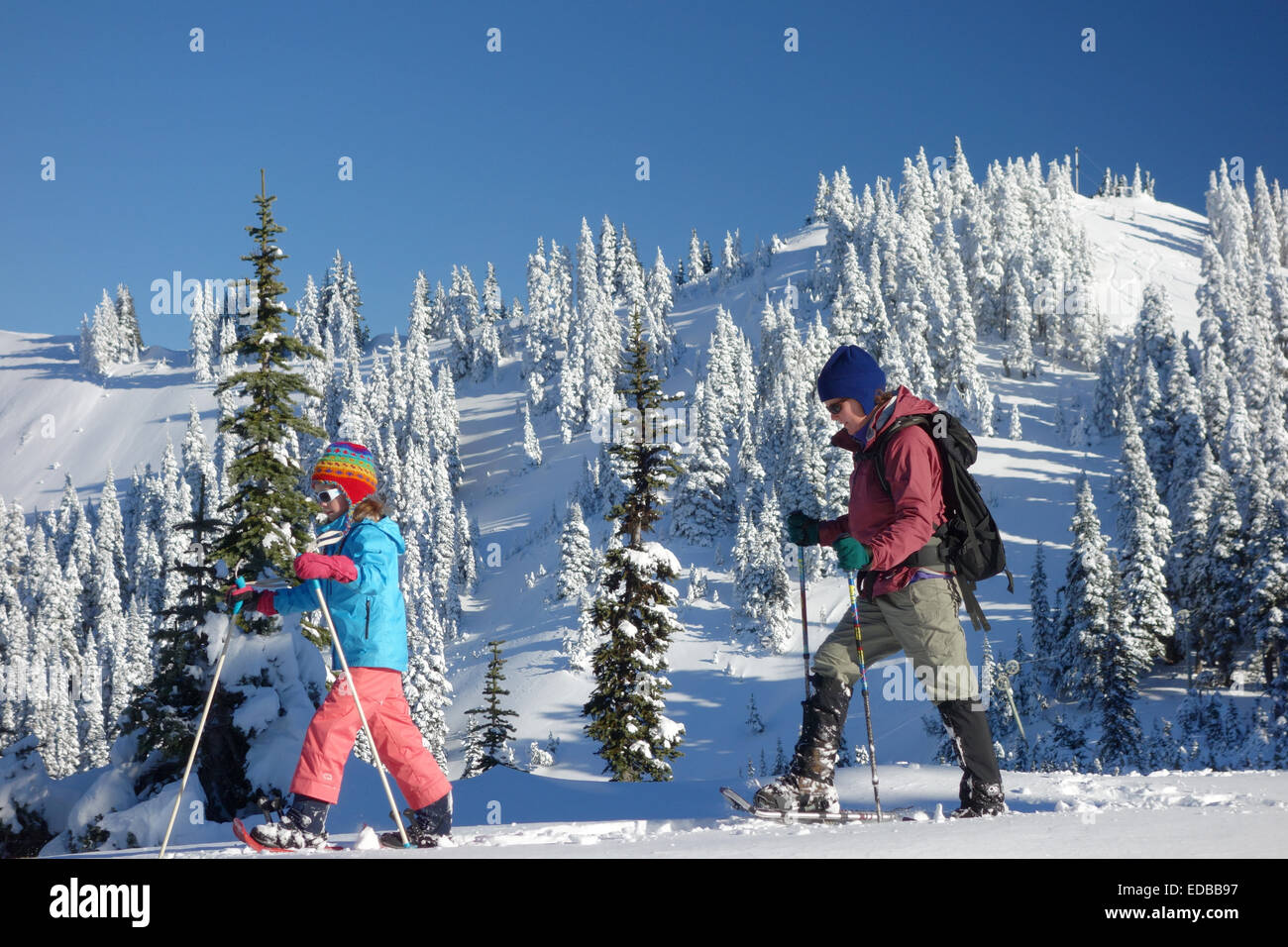 Mother and daughter snowshoeing, Hurricane Ridge, Clallam County, Olympic National Park, Washington, USA Stock Photo