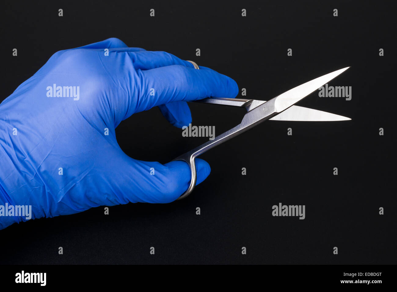 A hand with a blue medical glove is holding a pair of scissors Stock Photo