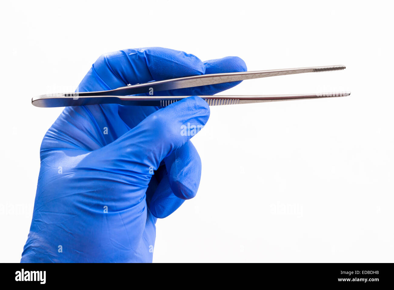 A hand with a blue medical glove is holding tweezers Stock Photo