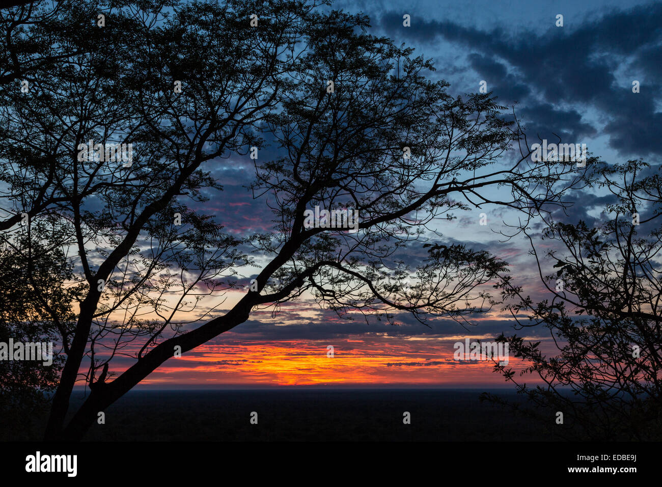 Dawn on the African savannah, Ghoha Hills, Chobe National Park, Botswana Stock Photo