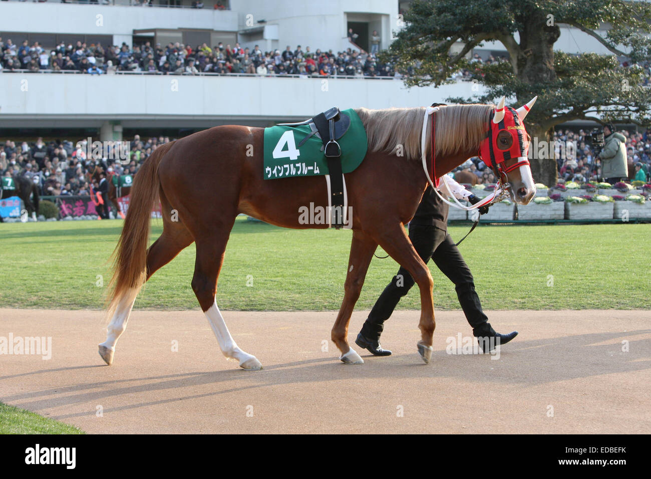 Kyoto, Japan. 4th Jan, 2015. Win Full Bloom Horse Racing Win Full