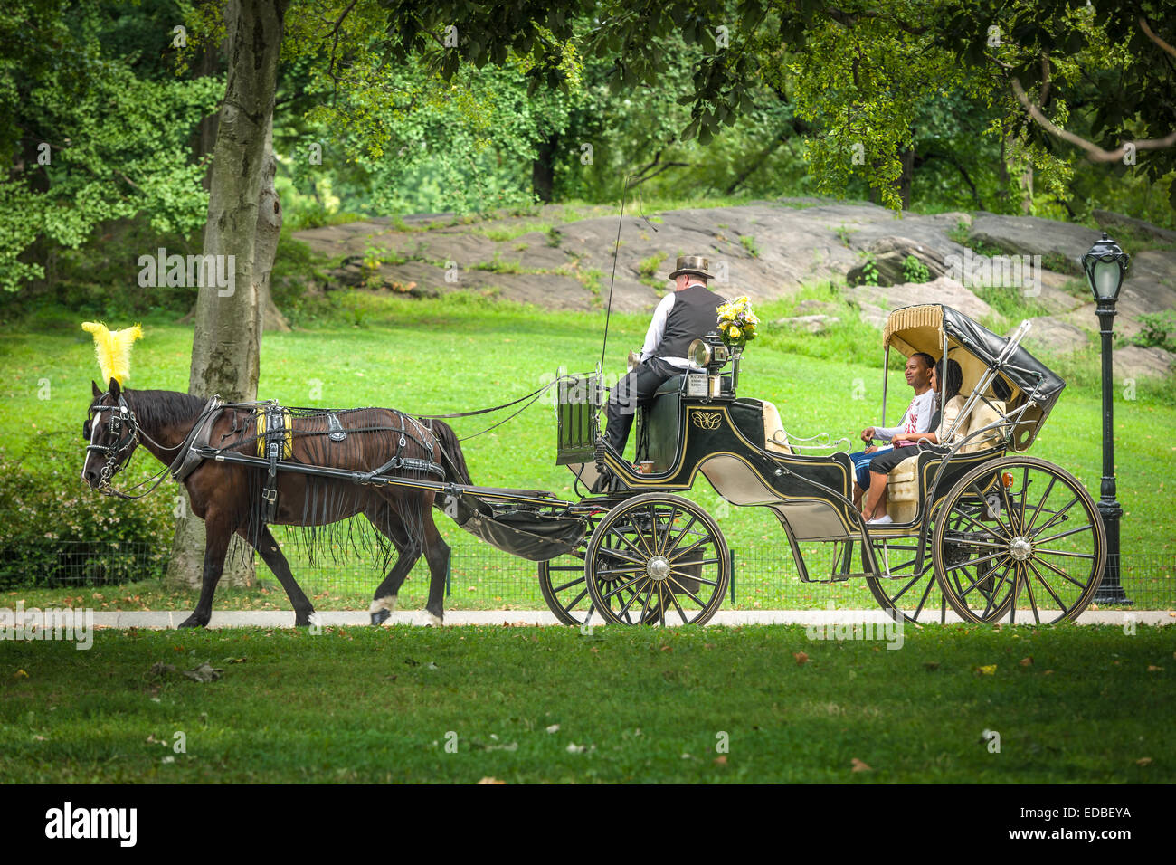One of the many Horse & Carriages working in Central Park, New York. Stock Photo