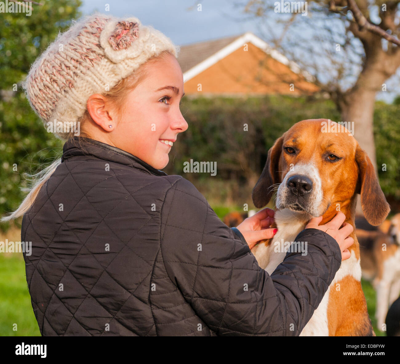 Portrait of an attractive girl with fox hound dog Stock Photo - Alamy