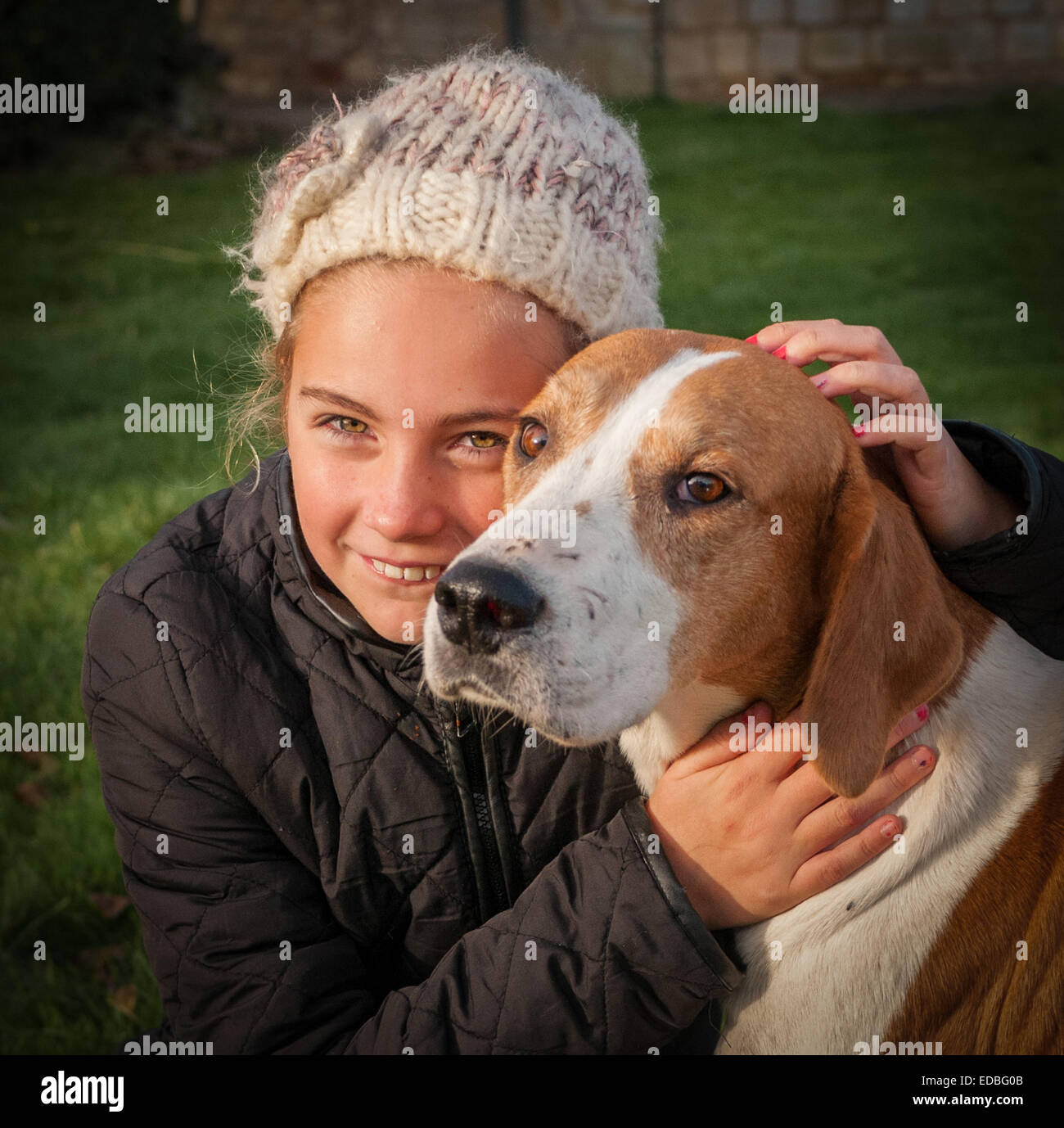 Portrait of an attractive girl with fox hound dog Stock Photo