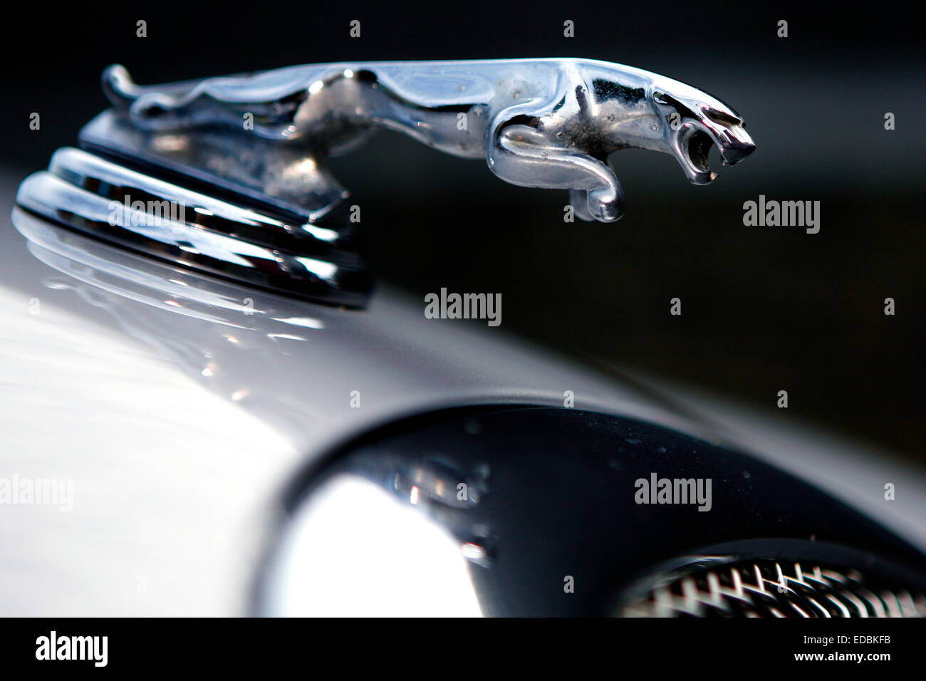 Pictured The Jaguar motor car company emblem Stock Photo Alamy