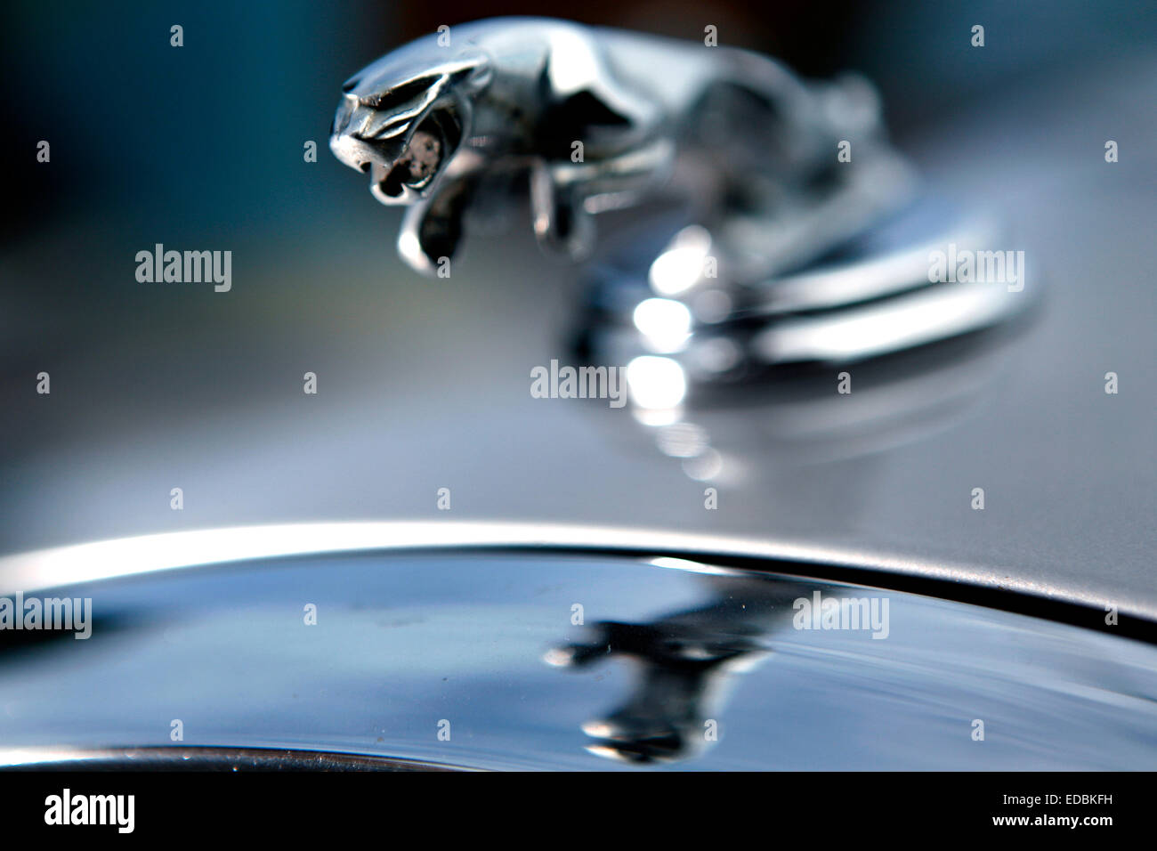 Pictured The Jaguar motor car company emblem Stock Photo Alamy