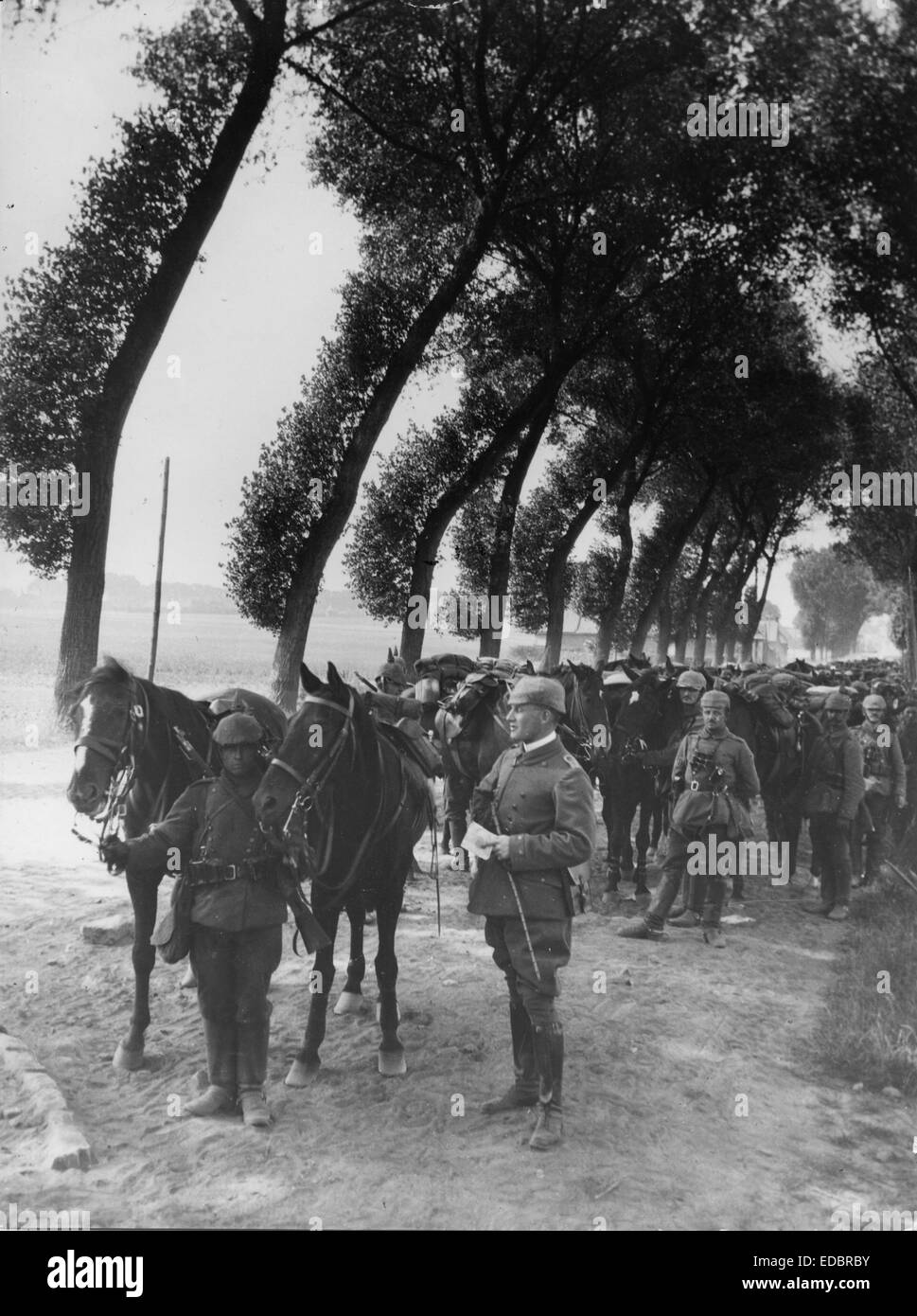Western Front '15, Germany - France. Stock Photo