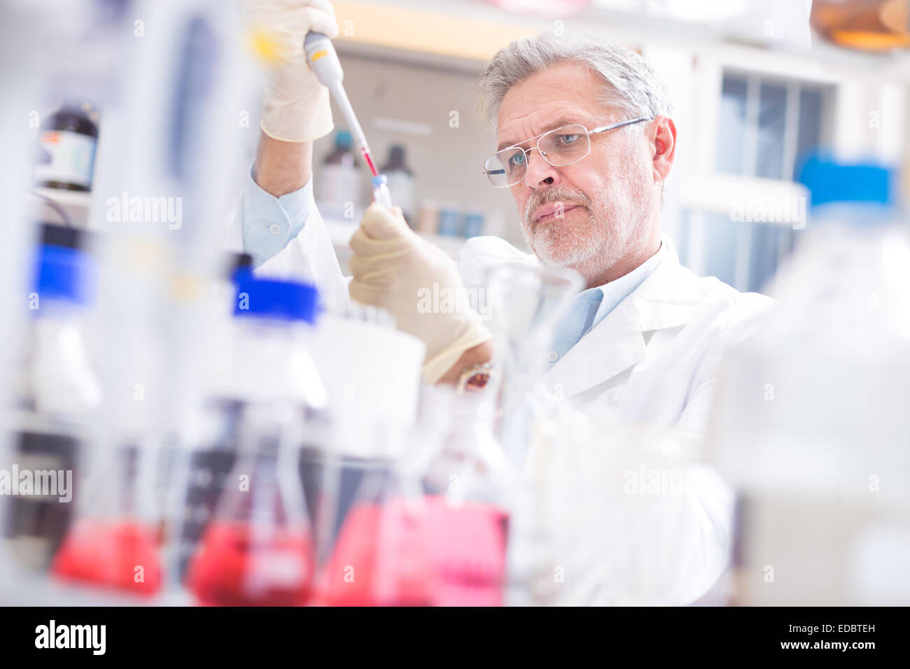 Life scientist researching in the laboratory. Stock Photo